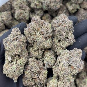 blueberry smoothie strain