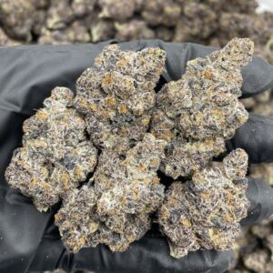 blackberry weed strain