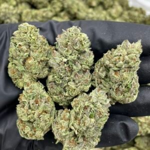 london pound cake weed strain