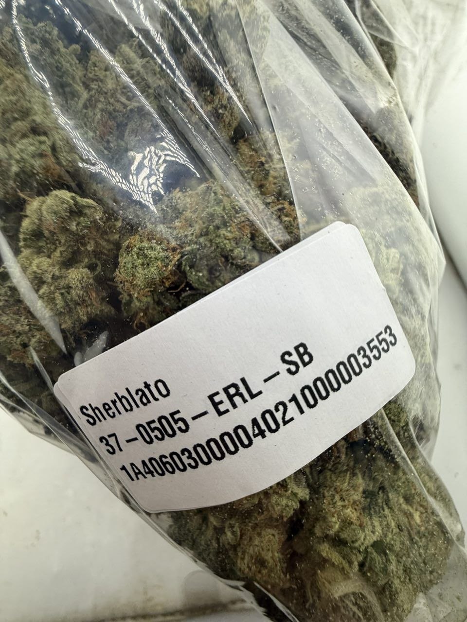 sherblato weed strain sherblato weed strain