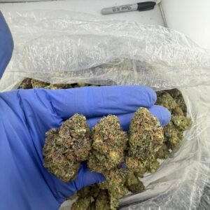 sherblato weed strain