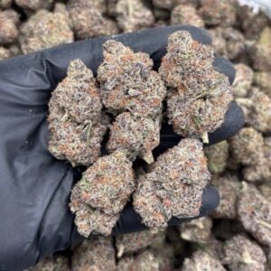 cotton candy kush weed strain