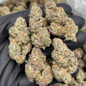 zang banger weed strain