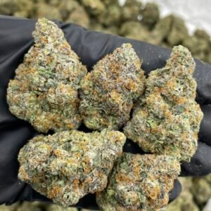 sprinkles weed strain