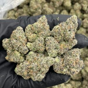 snake venom weed strain