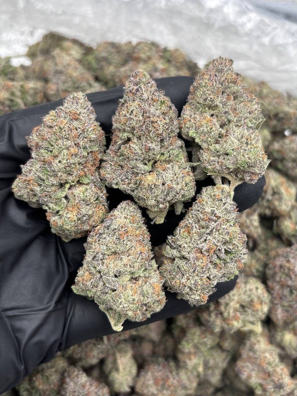 almond mochi weed strain almond mochi weed strain