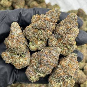 mango sprite weed strain