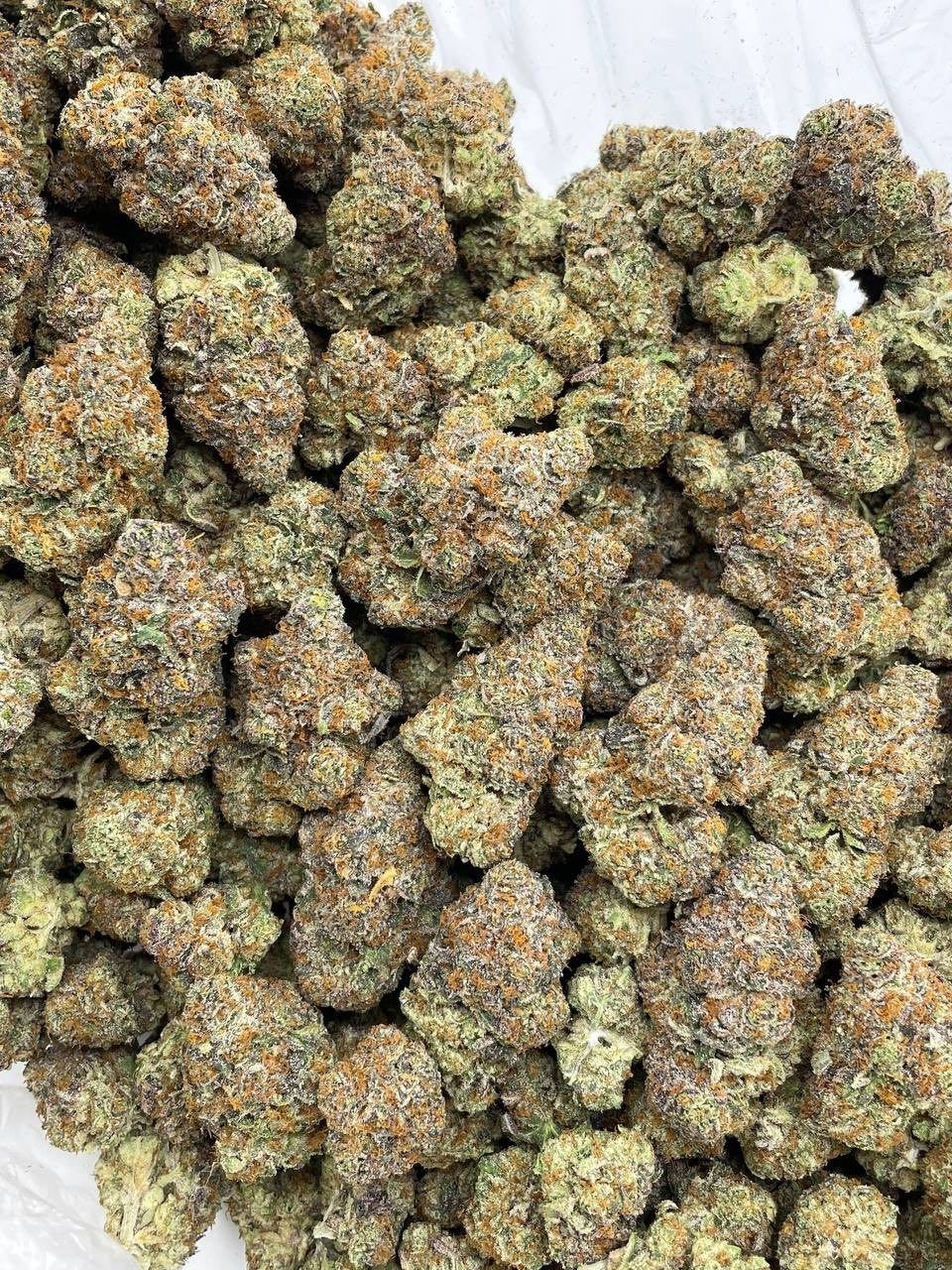 mango sprite weed strain mango sprite weed strain